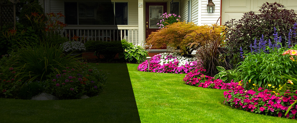 Cashion Landscapers