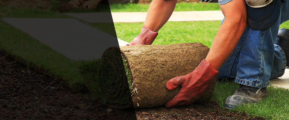 Cashion Landscapers